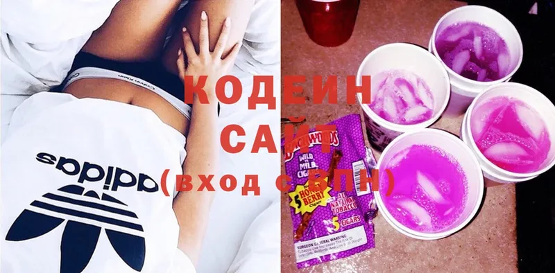 закладки  Кизляр  кракен как войти  Кодеиновый сироп Lean Purple Drank 